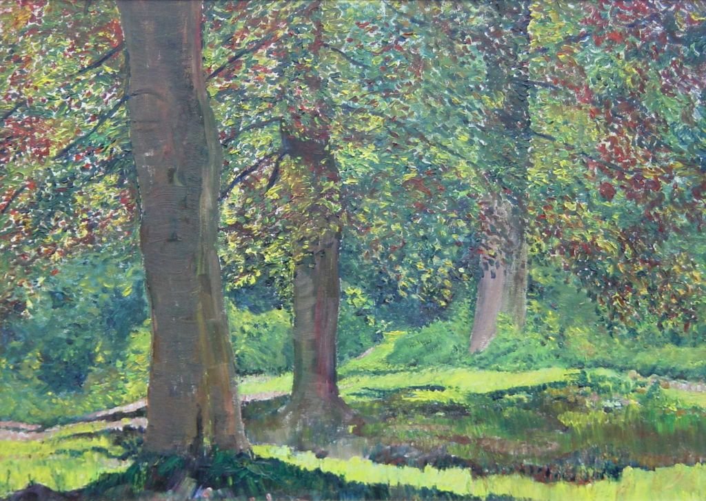 031BeukenVecht.jpg