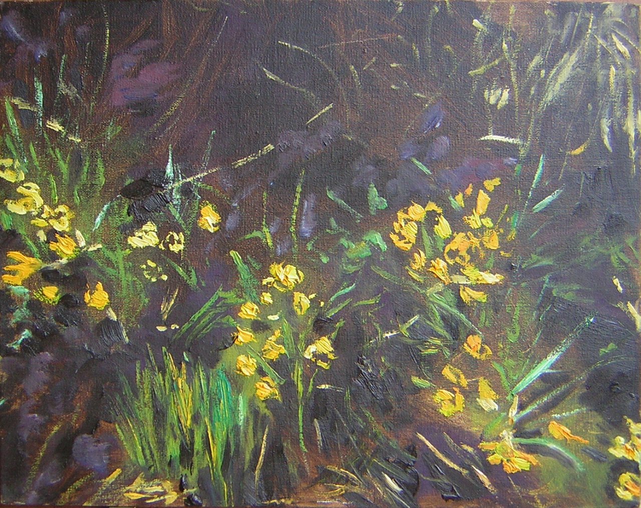 190GeleKrokussen.jpg