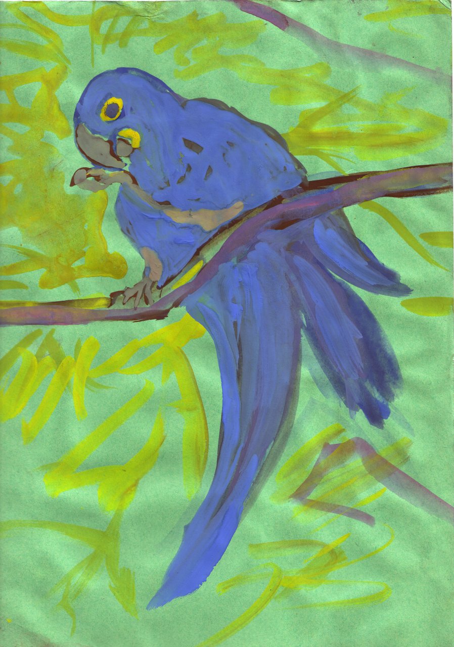 249BlauweAra.jpg