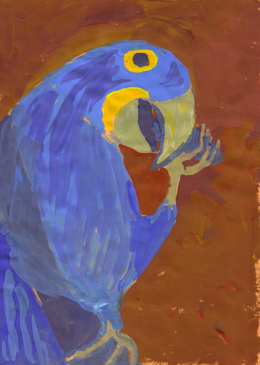 251BlauweAra.jpg